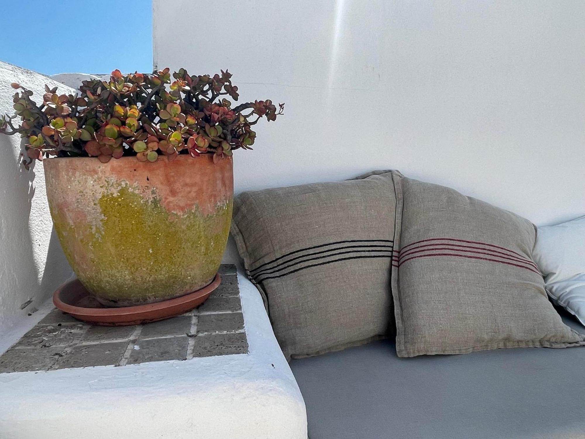 فيلا Casa Badillo - Califa Casas Vejer مْبيخير ذي لا فرونتيرا المظهر الخارجي الصورة